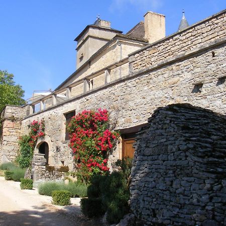 Chateau De Laumiere Promilhanes ภายนอก รูปภาพ