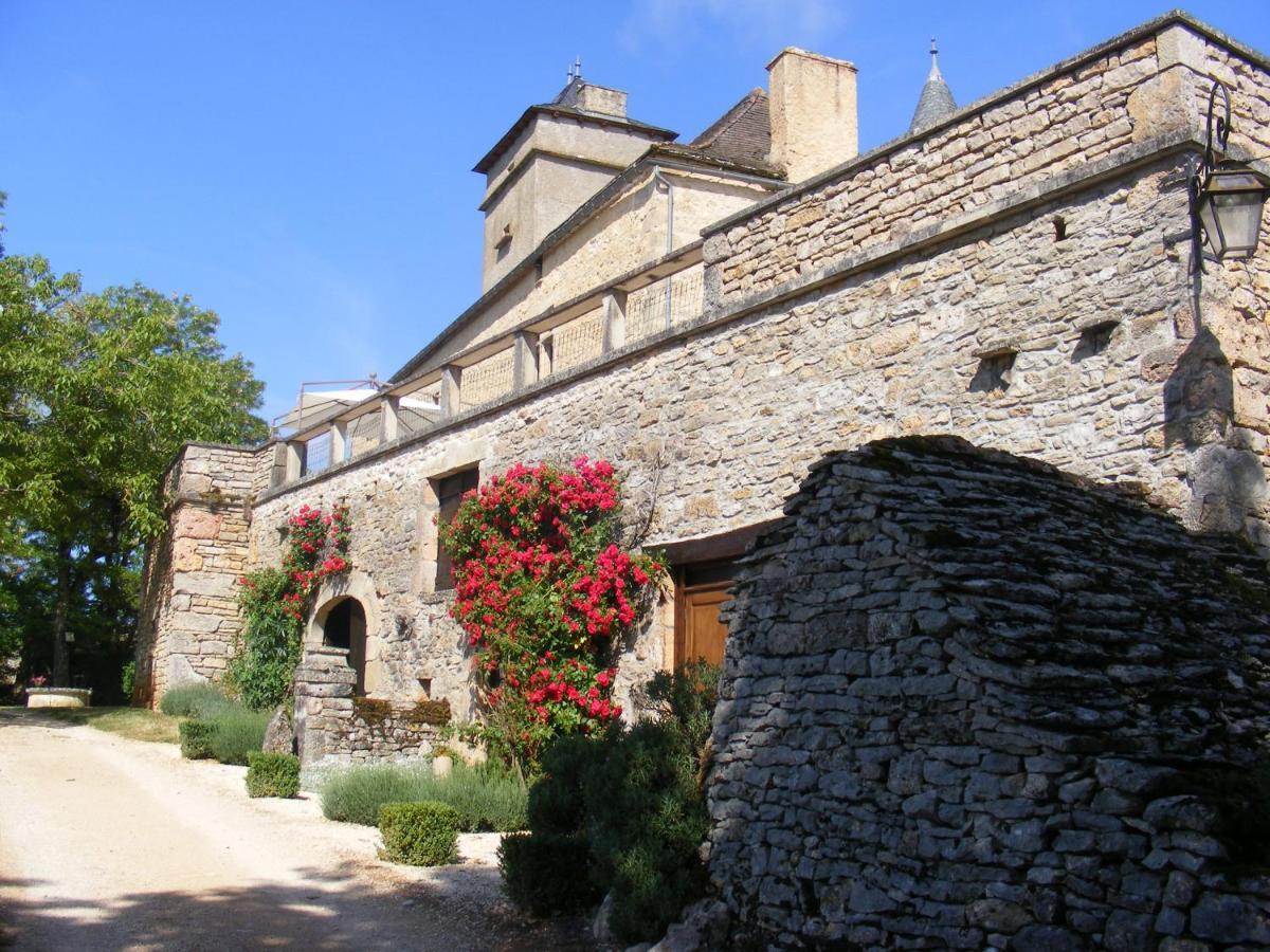 Chateau De Laumiere Promilhanes ภายนอก รูปภาพ