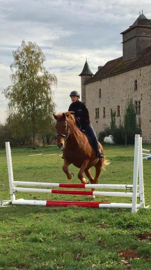 Chateau De Laumiere Promilhanes ภายนอก รูปภาพ